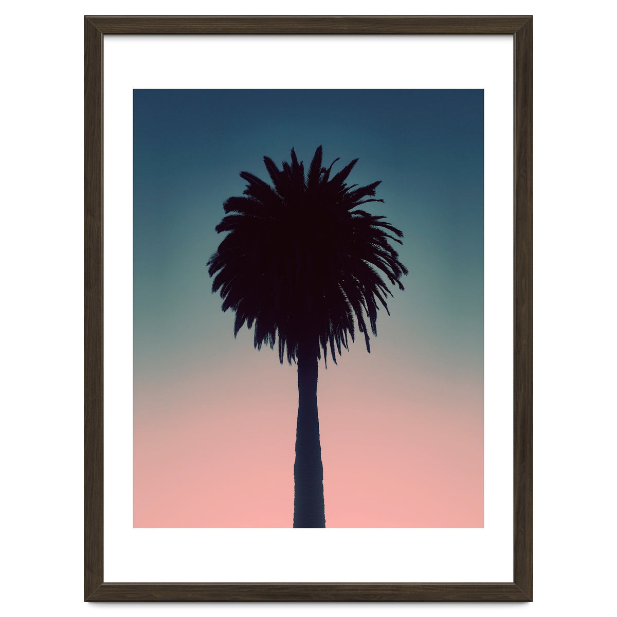 Sundown Palm