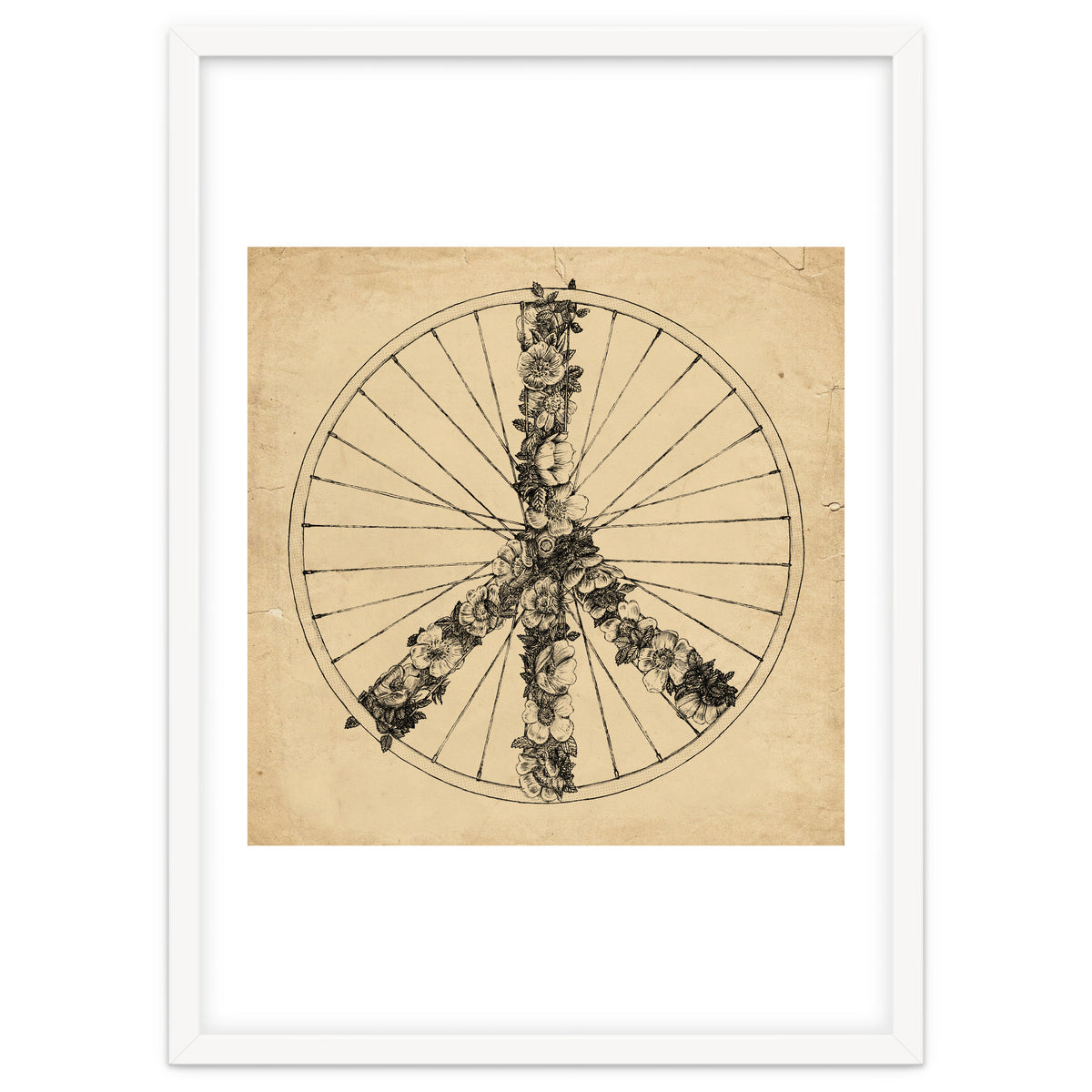 Peace And Bike Lines