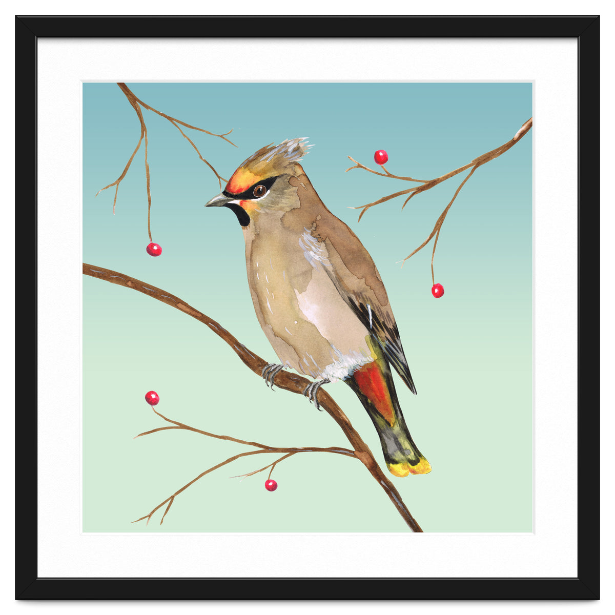 Bohemian waxwing