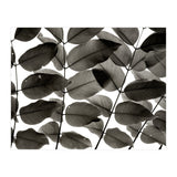 Branches and Leaves I (Print Only) thumbnail