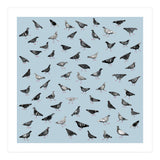Pigeons Doing Pigeon Things (Print Only) thumbnail