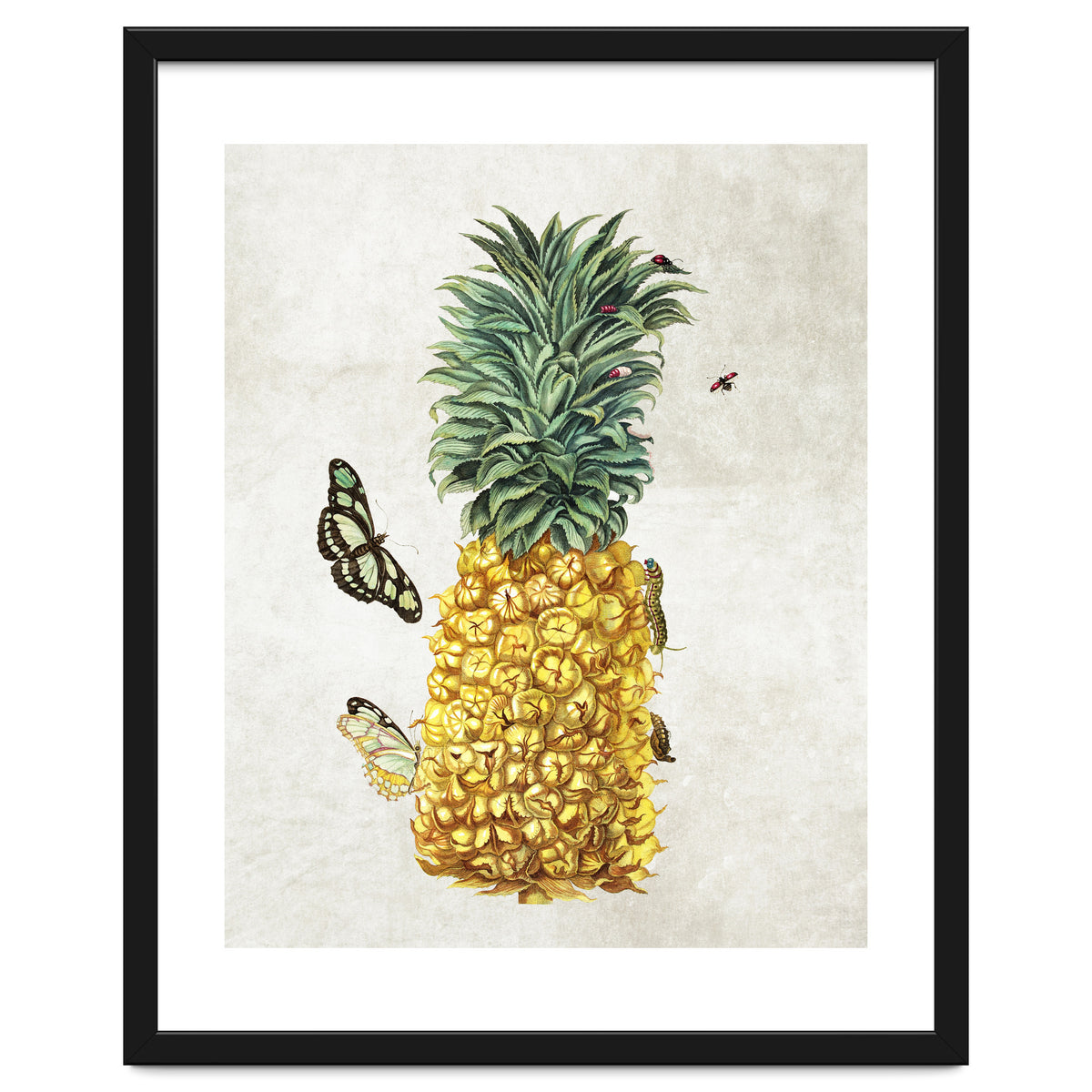 ananas
