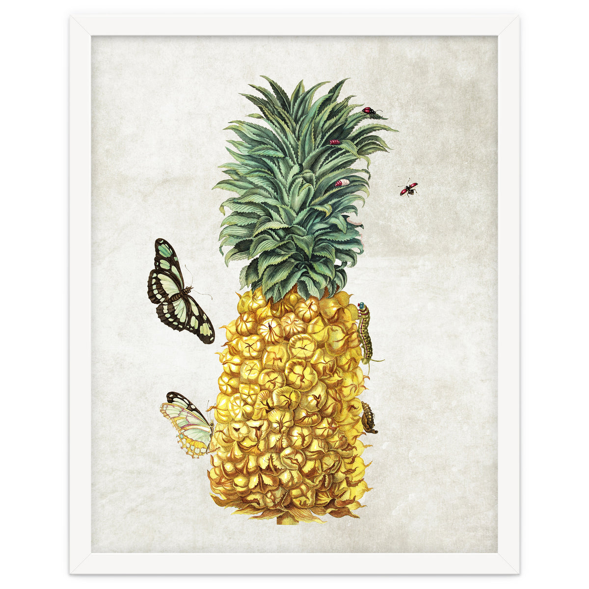 ananas