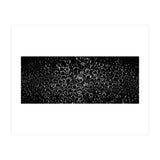 Bubbles (Print Only) thumbnail