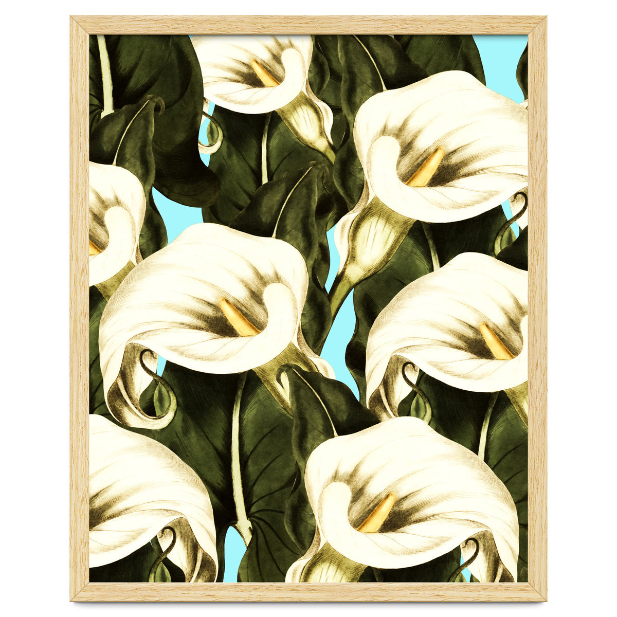 Pattern floral Ethiopian-Calla