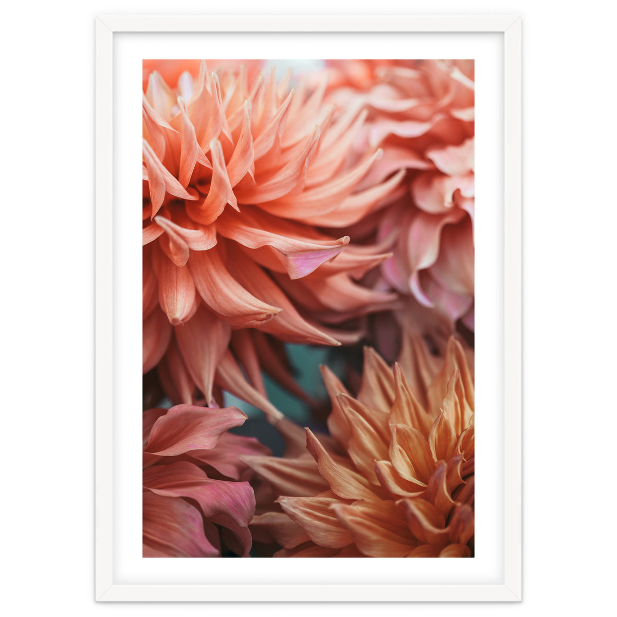 Vintage Dahlia