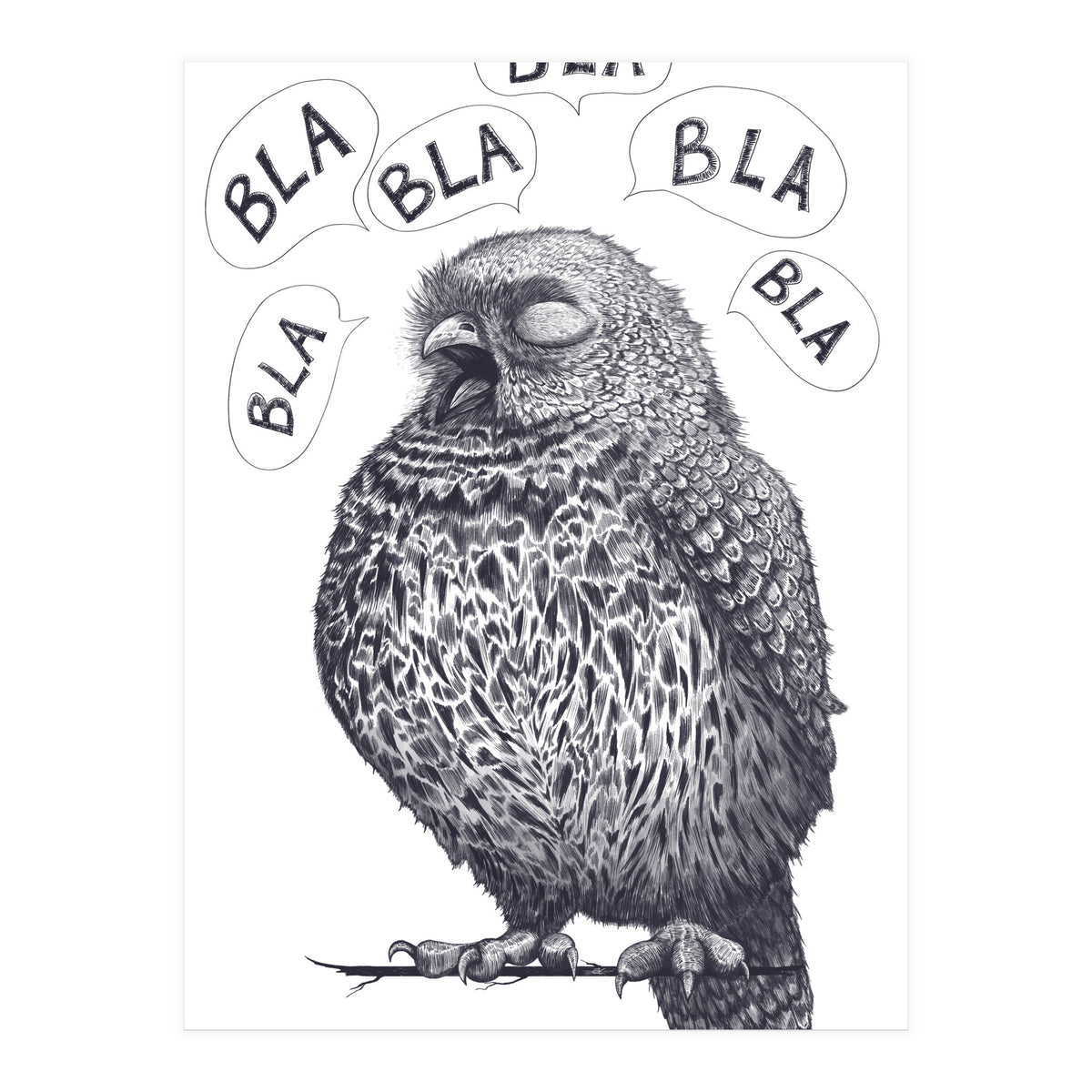 Owl Bla Bla Bla (Print Only)