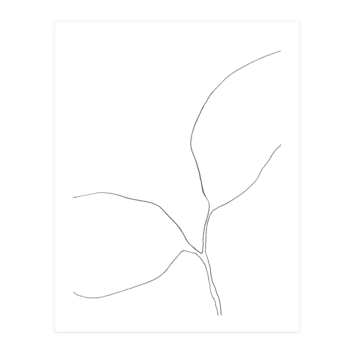 Seedling Leaning Left (Print Only)