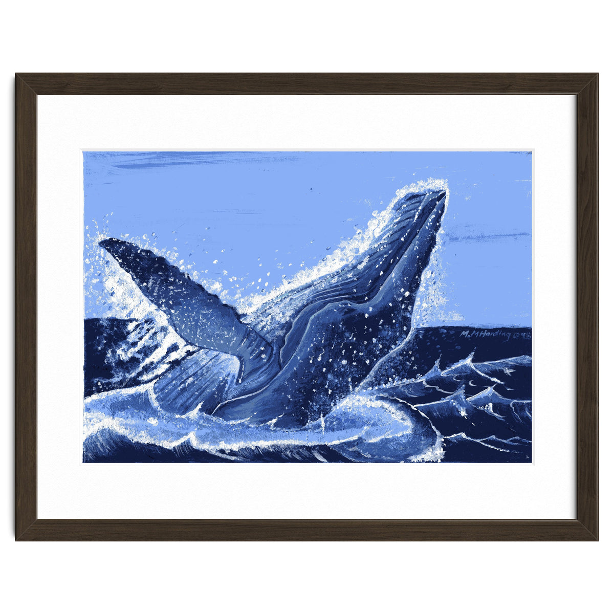 Humpback Whale Breaching