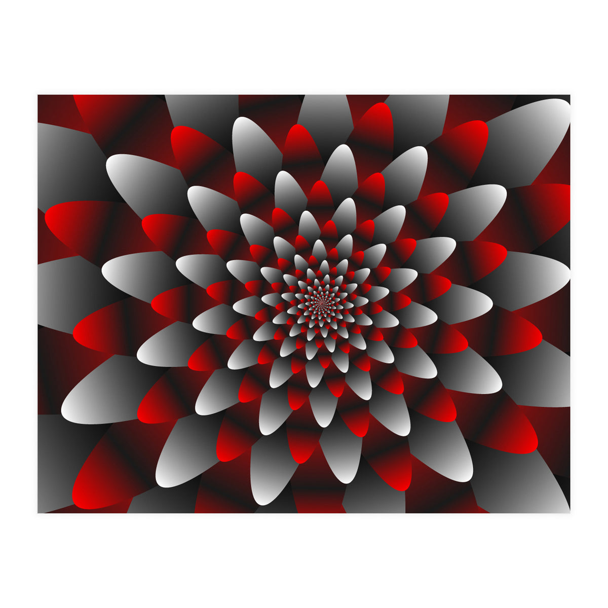 Beautiful Modern Flower Graphics (Print Only)