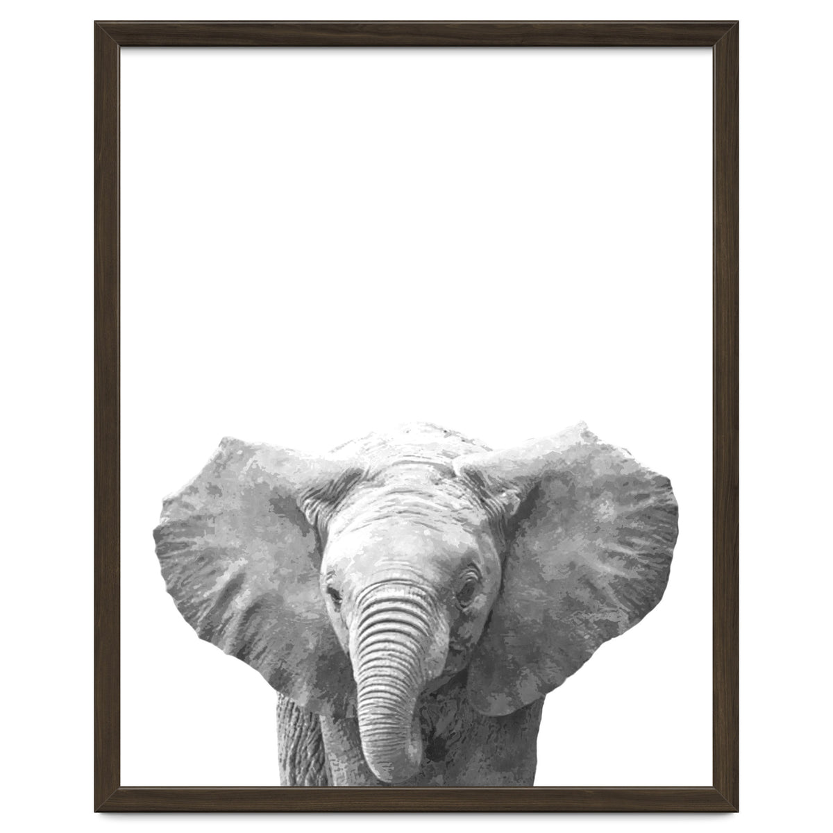 Black and White Baby Elephant