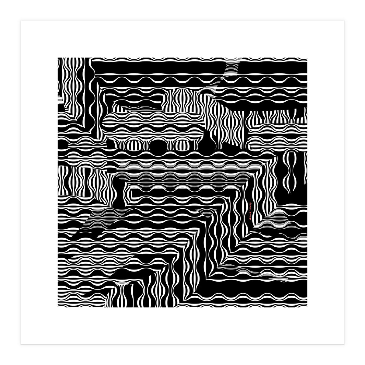 BLACK AND WHITE EXOTIC (Print Only)