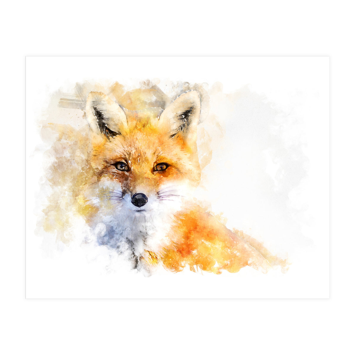 Mr Foxy (Print Only)