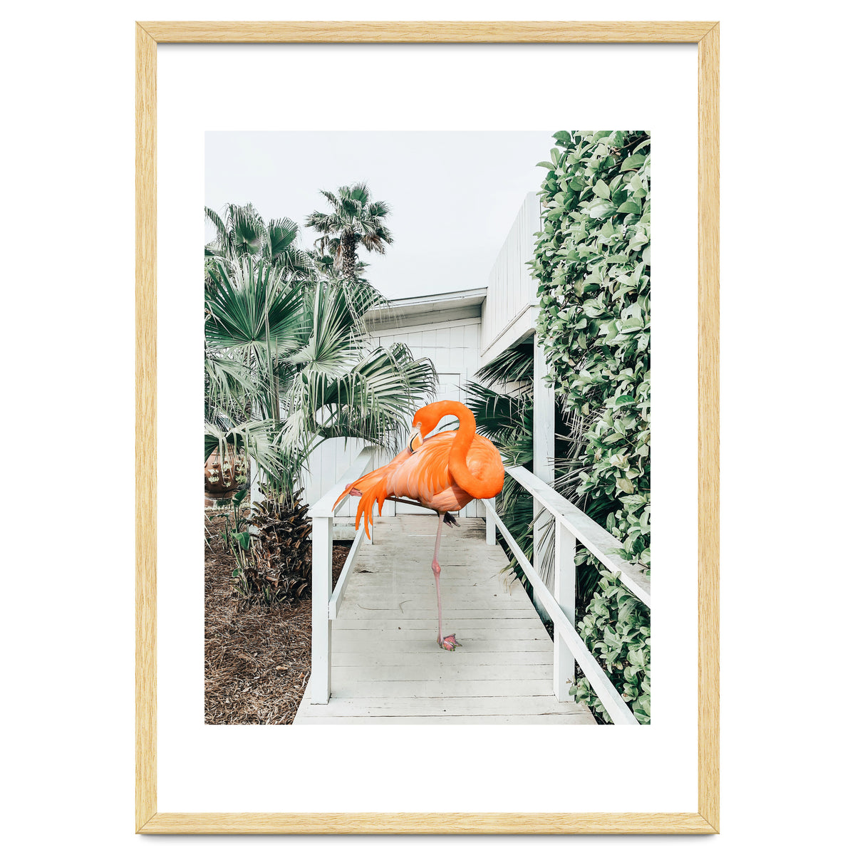 Flamingo Beach House