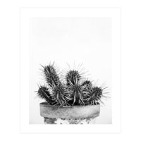 Cactus nature II (Print Only)