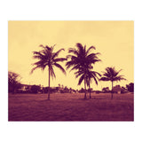 Palm Trees (Print Only) thumbnail