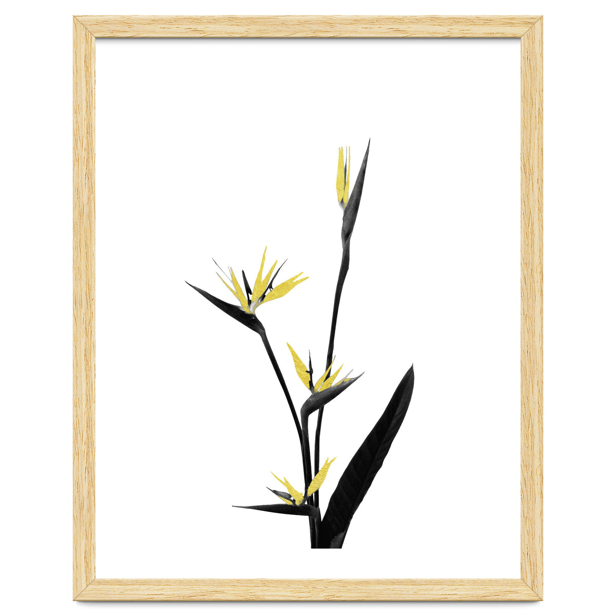 Flower Minimal Black And Gold 05