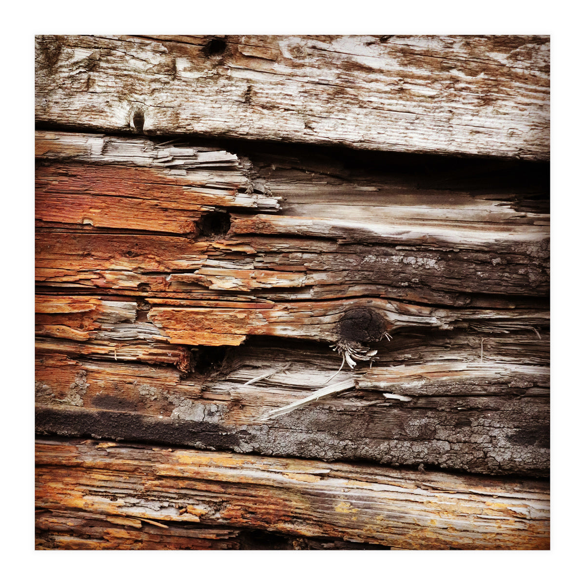 weather worn wood (Print Only)
