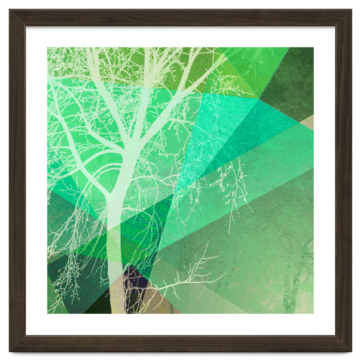 P22-B3 Trees And Triangles