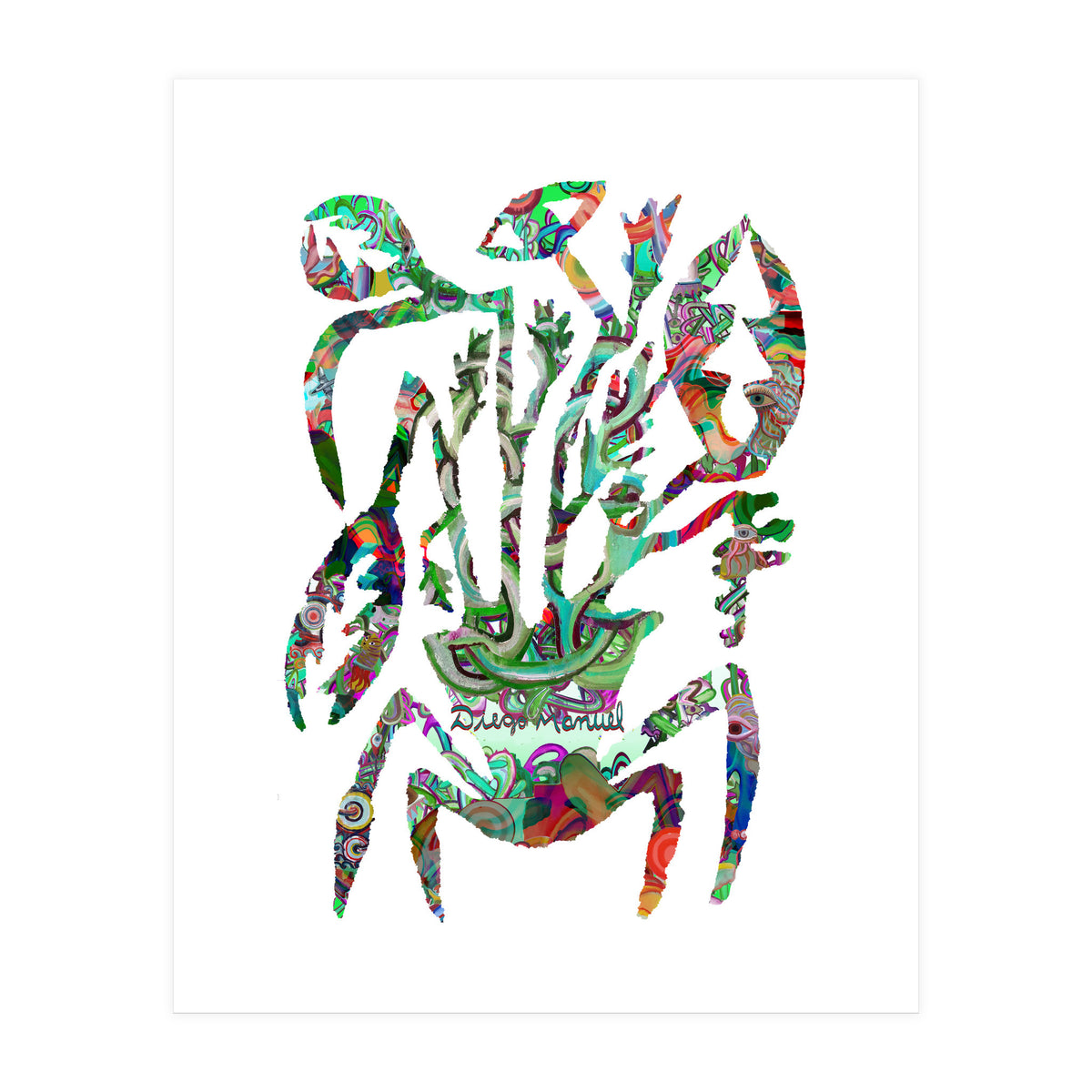 Planta Salvaje 48  (Print Only)