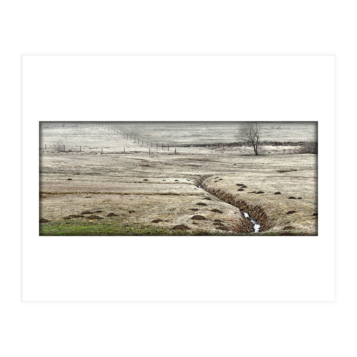 Wet meadows (Print Only)