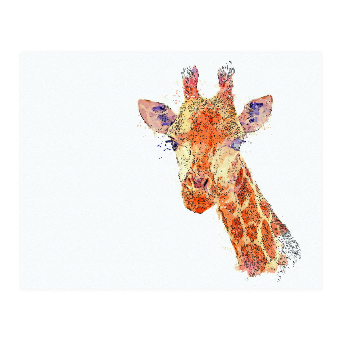 Grayson (Print Only)