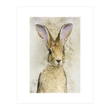 Harriet Hare (Print Only) thumbnail