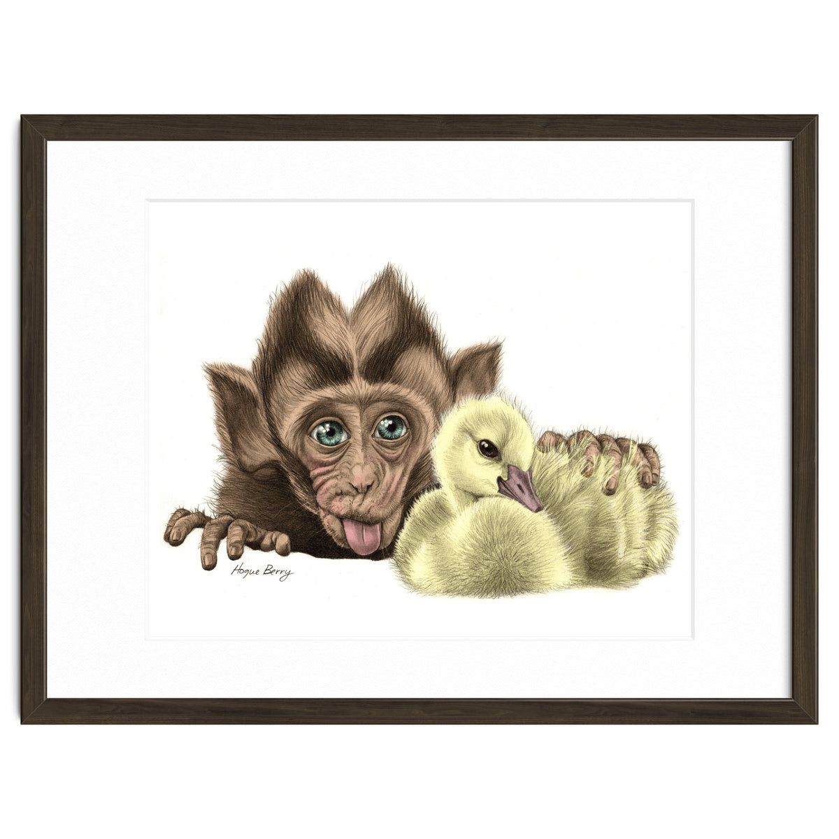 Monkey and Duckling