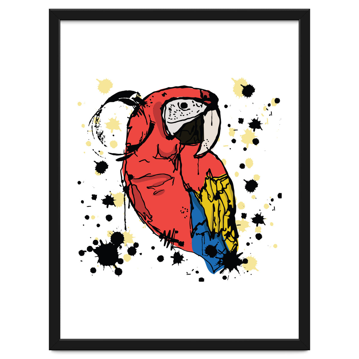Guacamaya sketch