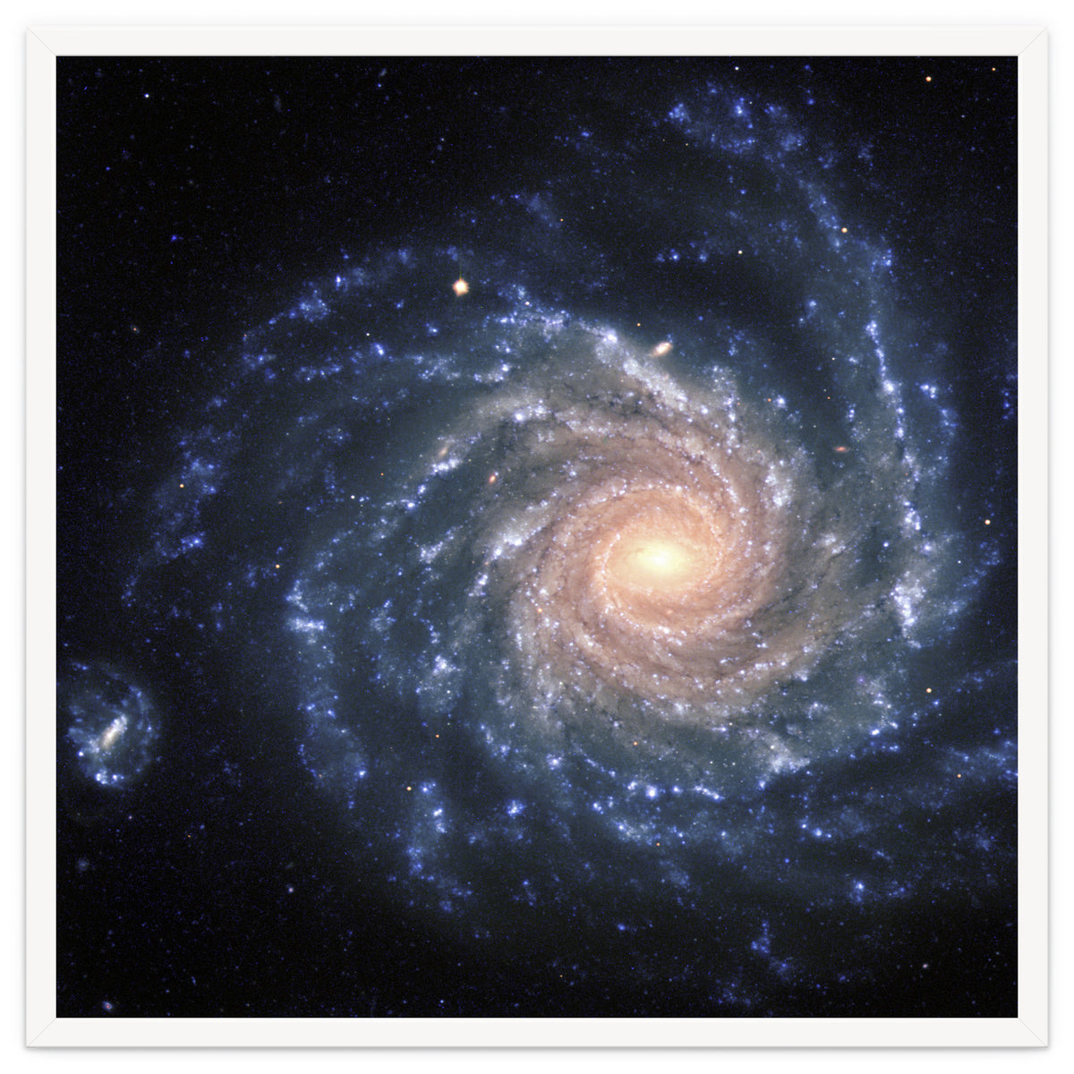 Spiral Galaxy NGC 1232