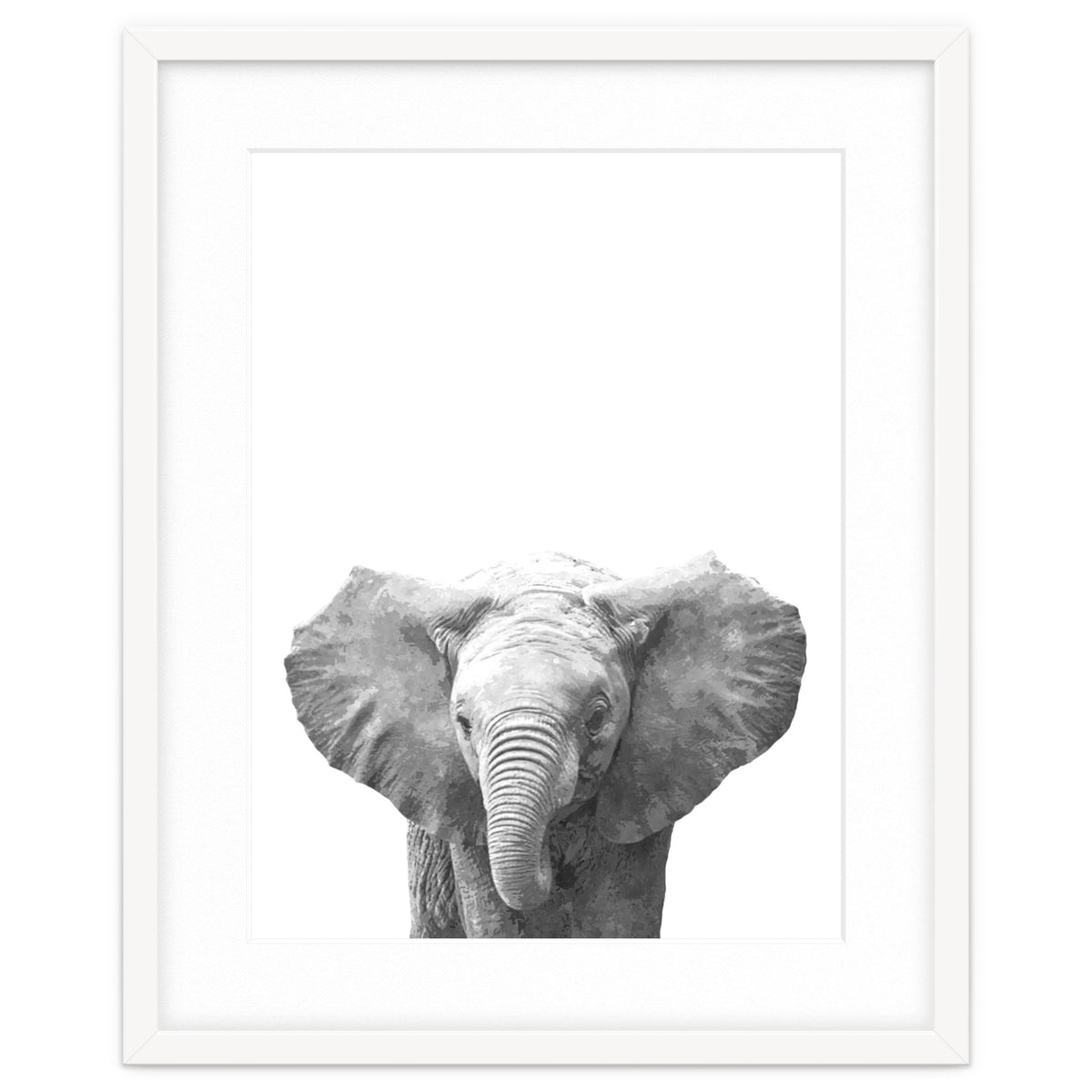 Black and White Baby Elephant