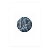 Entity (Print Only) thumbnail