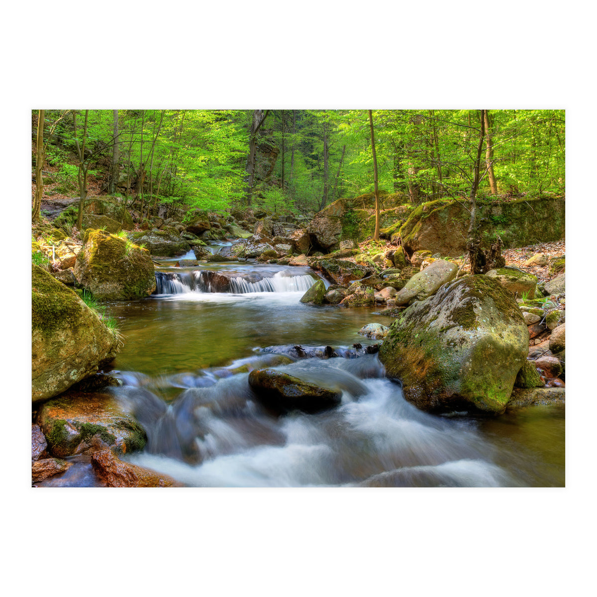 Spring At Harz Moutain (Print Only)