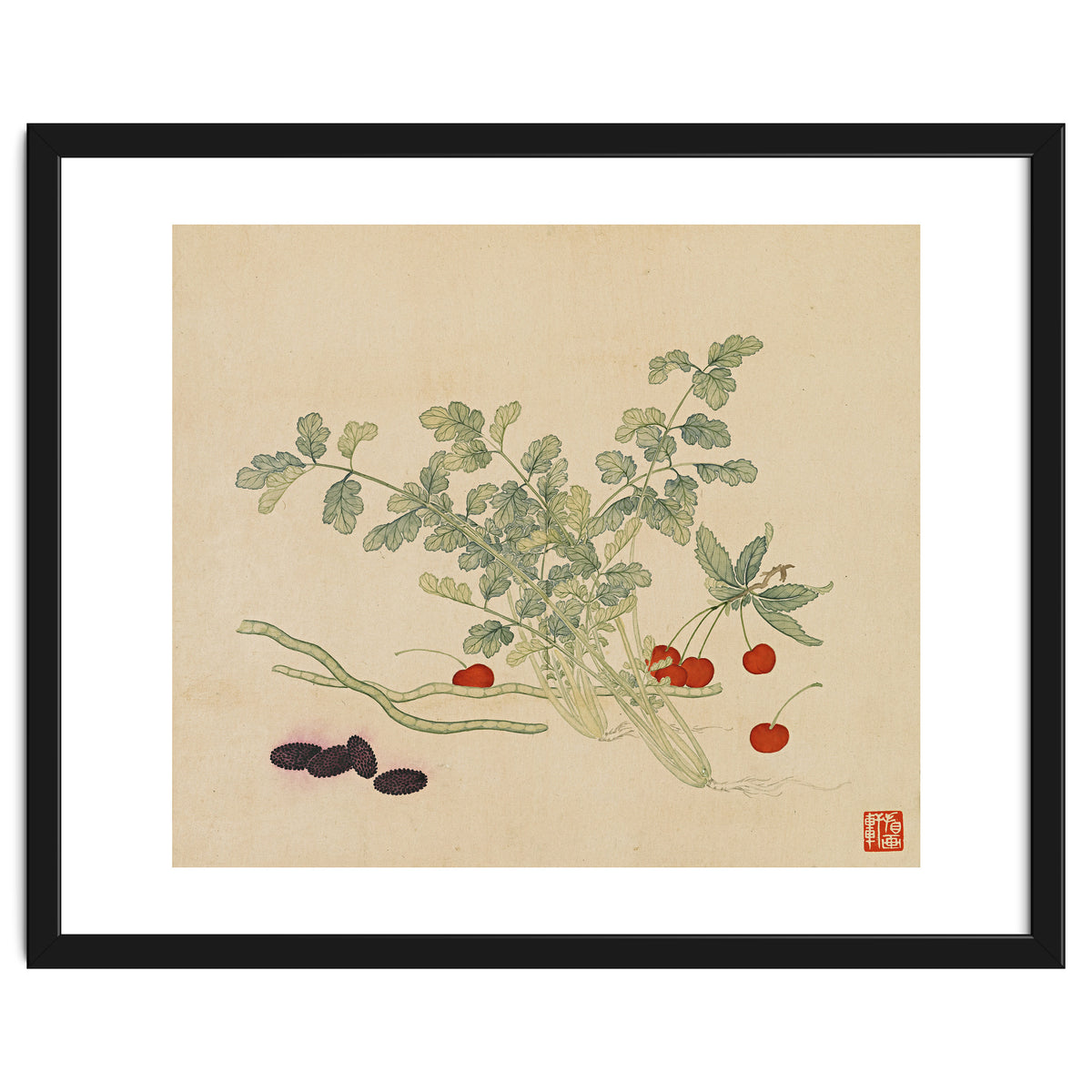 Wang Chengyu~flowers And Vegetables, Vegetables, Fruits, Beans, Red Beans, Cherries, Celery