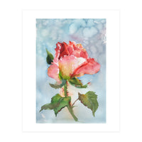 Beautiful Rose Watercolor (Print Only)