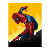 Spider Man Homecoming (Print Only) thumbnail