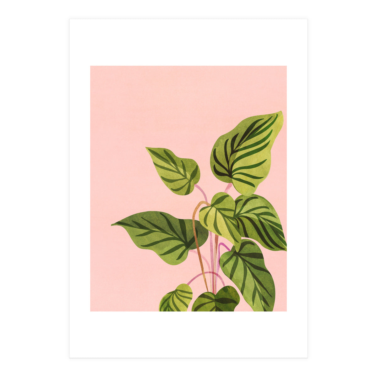 Tropical Rising (Print Only)