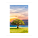 TREE with Great SKY (Print Only) thumbnail