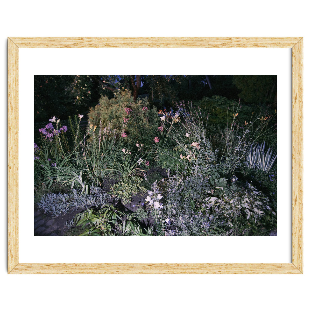 Picture Postcard Perfect