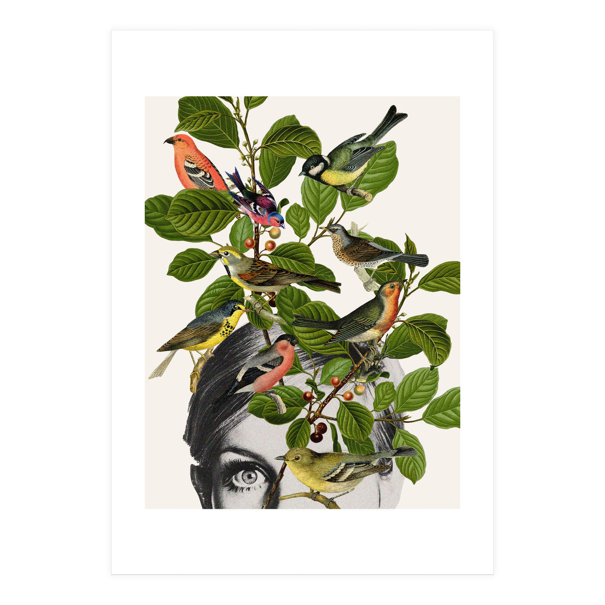 Twiggy Eyes (Print Only)