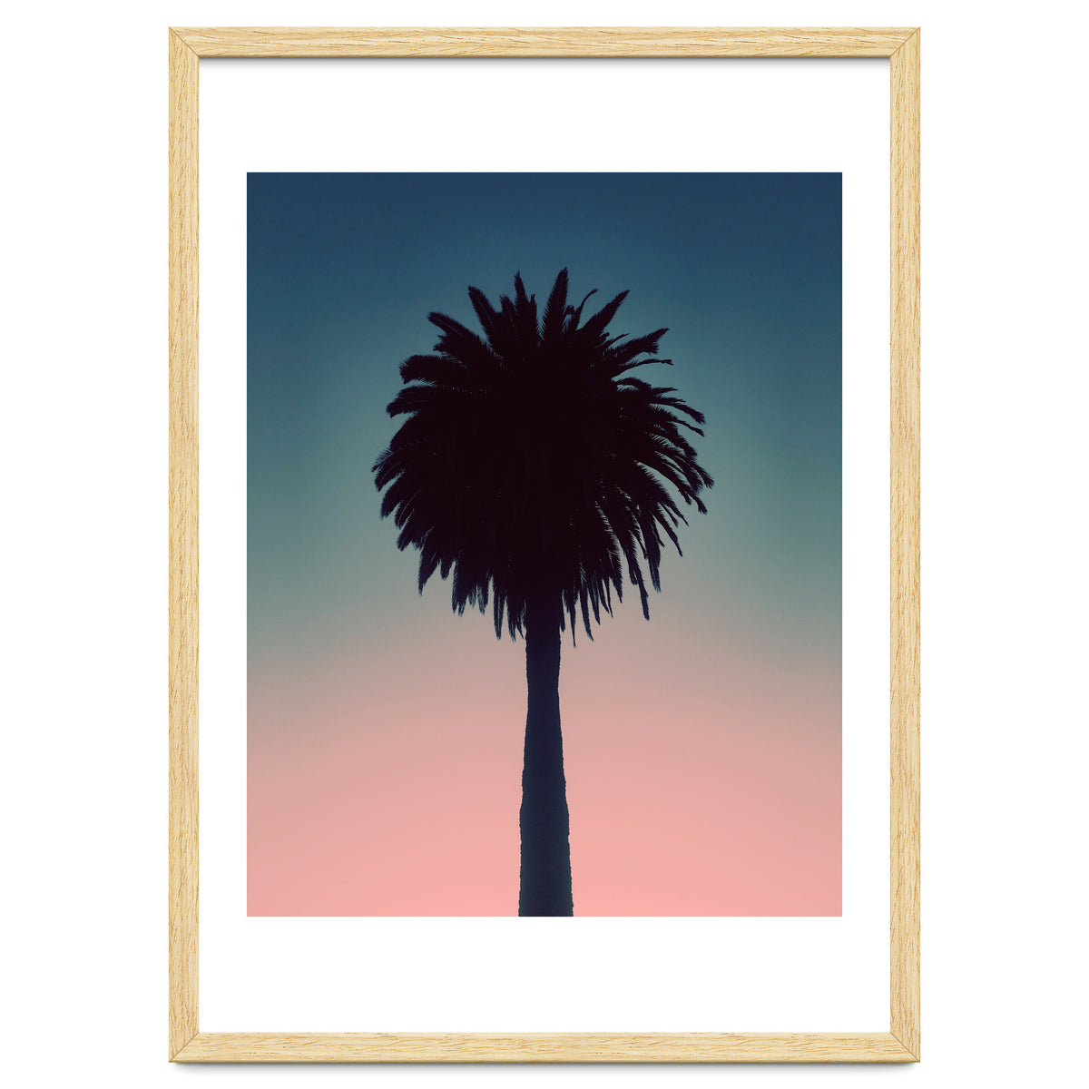 Sundown Palm