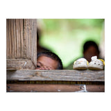 Invisible (Print Only) thumbnail