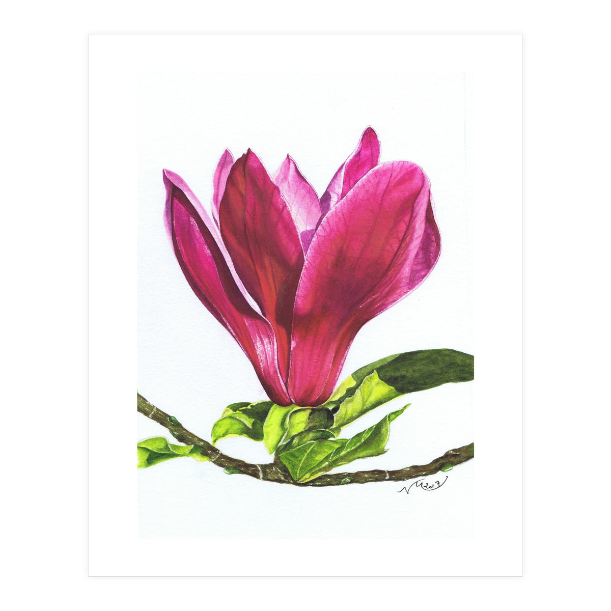 Single Magnolia (Print Only)