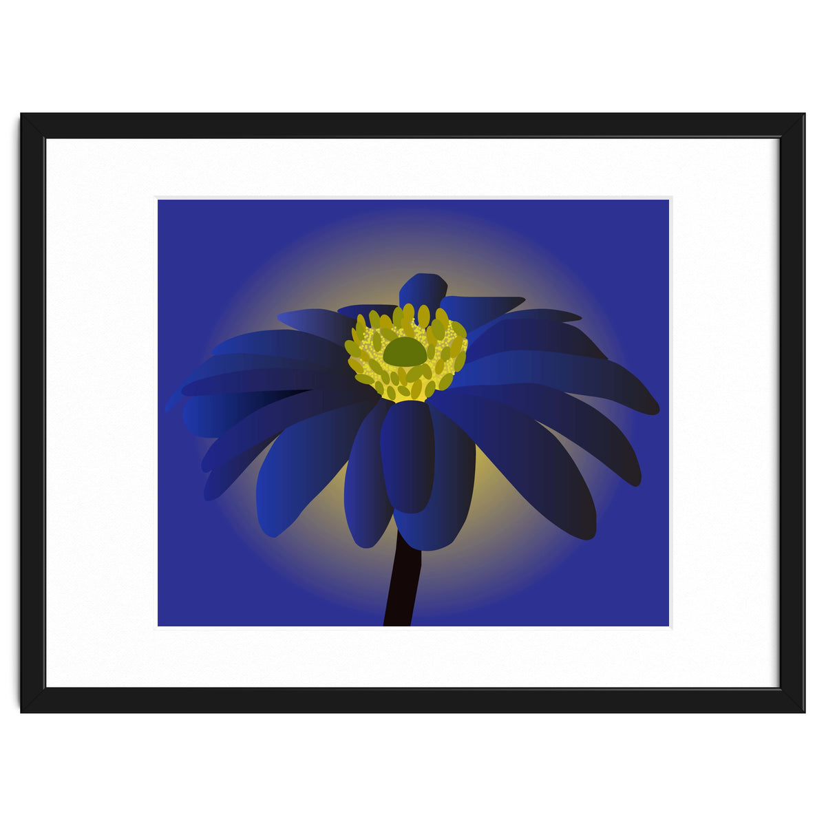 Anemone Blanda Flower Art