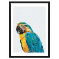 Macaw Portrait wearing gold glasses