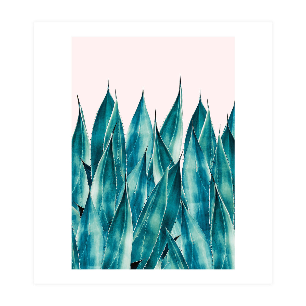 Summer Agave (Print Only)