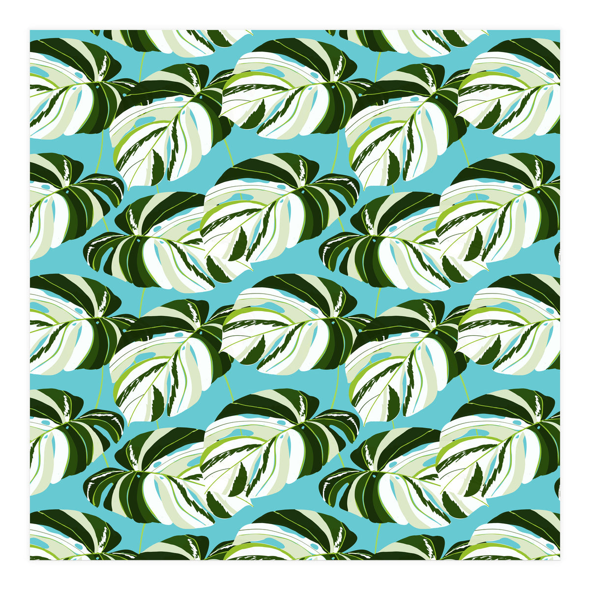 Summer Variegated Monstera | Rainforest Jungle botanical Plants Illustration | Boho Tropical Nature (Print Only)