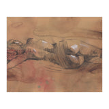Feminine body drawing of a woman (Print Only) thumbnail