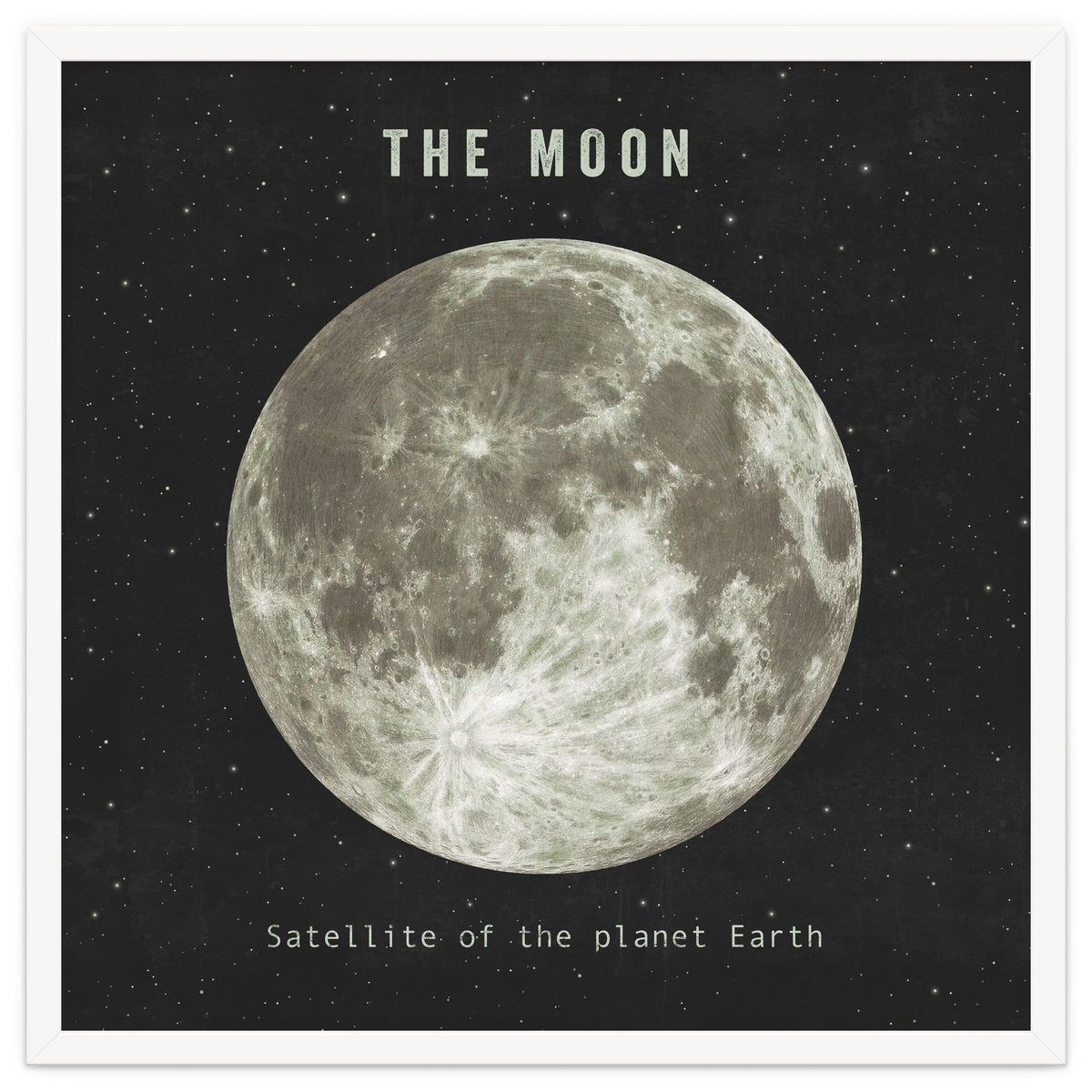 The Moon