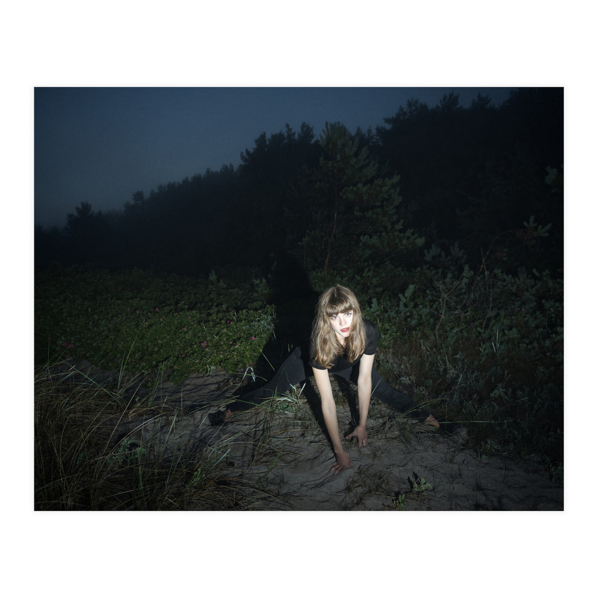 Nightcrawler (Print Only)